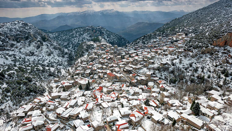ΣΤΕΜΝΙΤΣΑ